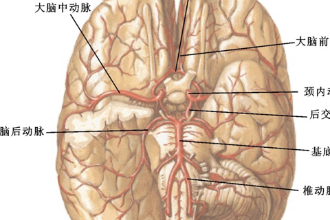 Penerapan pemantauan neurofisiologis pada endarterektomi karotis